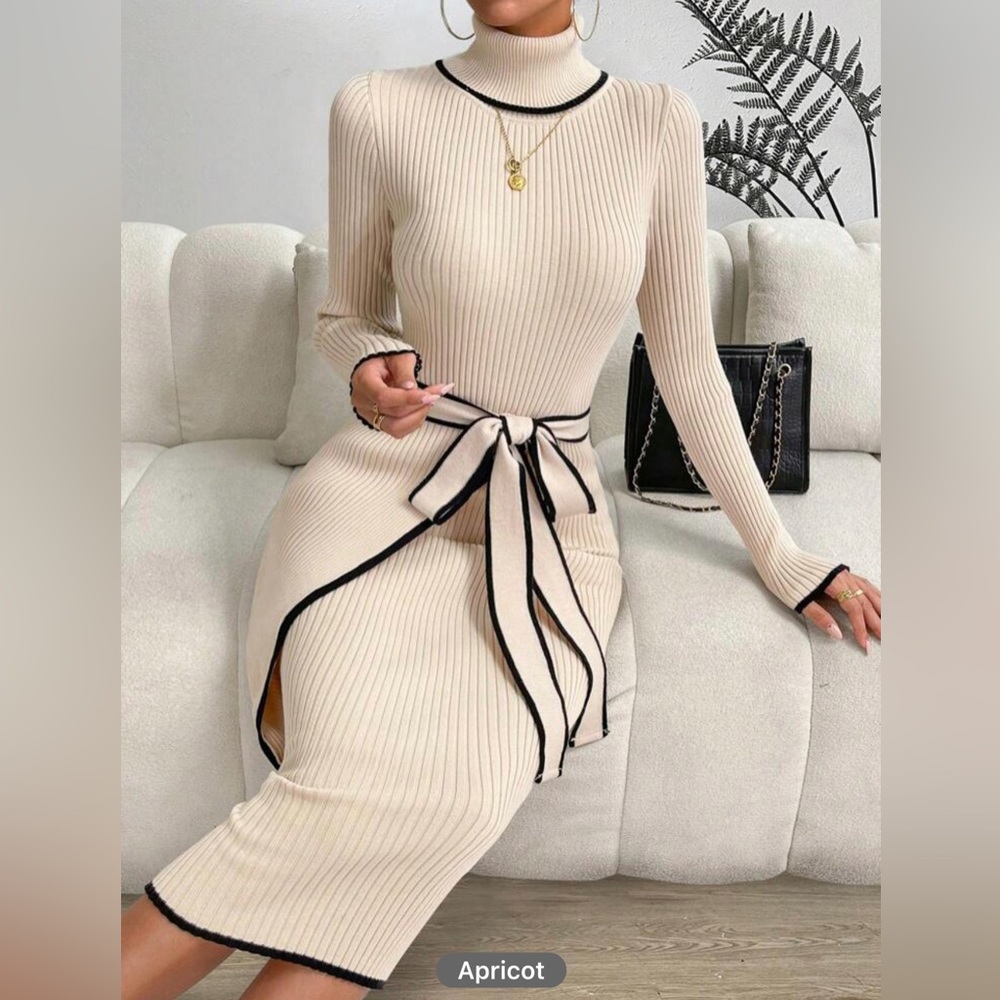 PASSION Contrast Binding Turtleneck Belted Sweater Dress - Picture 10 of 15